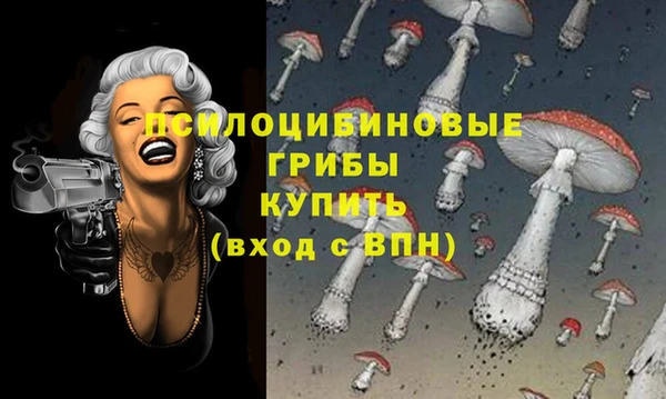 альфа пвп Бородино